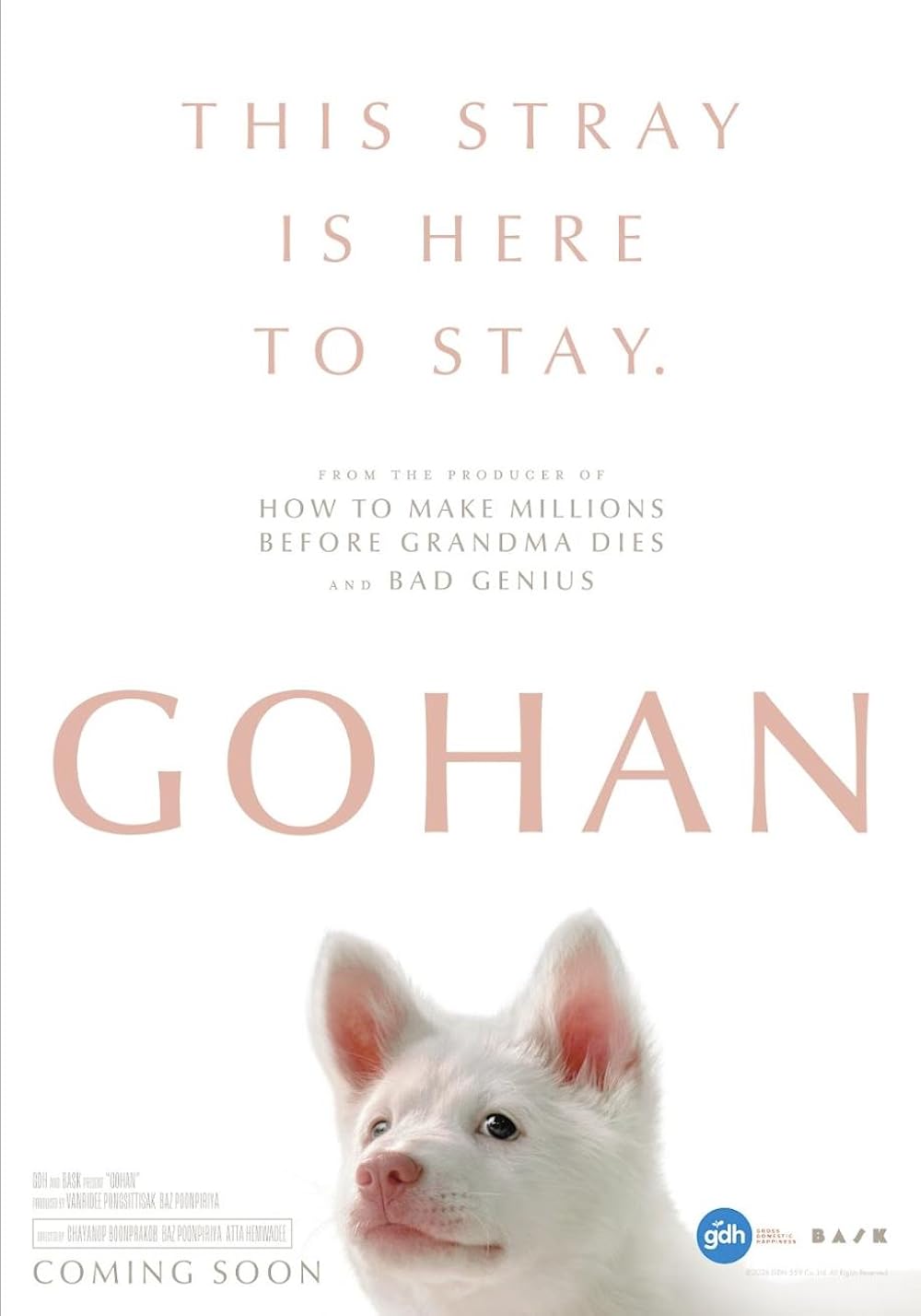Gohan (2026) โกฮัง..หัวใจโกโฮม